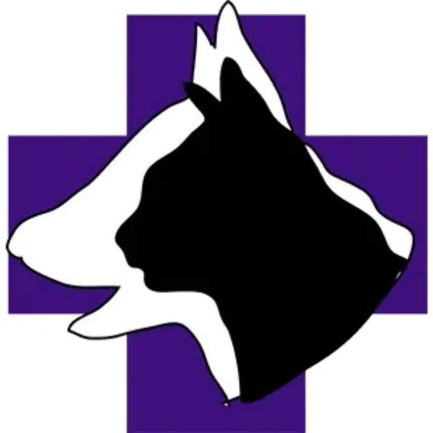 companion animal hospital