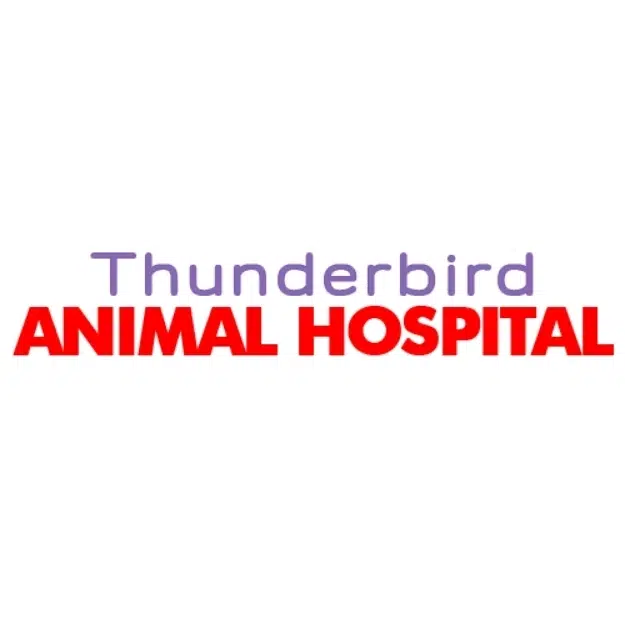 Thunderbird ANIMAL HOSPITAL