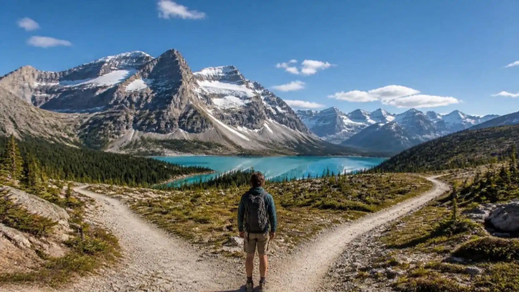 High-Wage Job Offer vs. High-Wage Canadian Work Experience: How Express Entry’s Non-Stacking Rule Works