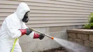 Worker in a protective suit and respirator spraying pesticide